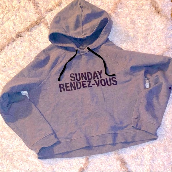 Aritzia Sunday Best Hoodie Crop Perfection - Picture 1 of 3